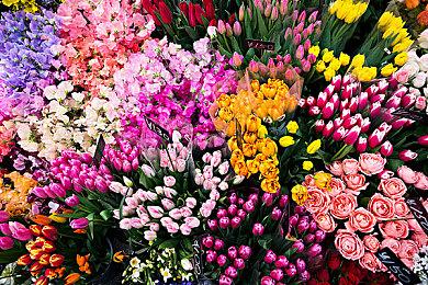 《仙剑奇侠传三》魔剑镇妖剑1:1模型开启众筹 1068元起