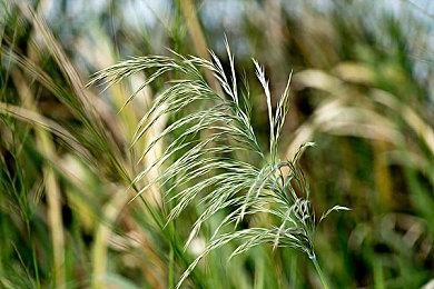 《第一后裔》获2024年Steam金奖 官方发文感谢玩家