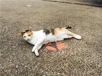 SE宣布《魔咒之地》跳票到2023年1月发售